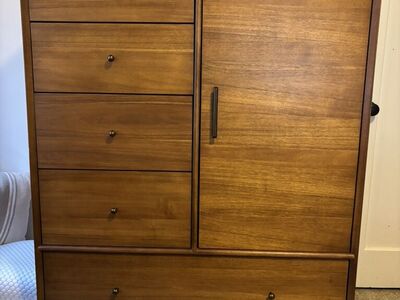 West Elm MCM Wardrobe