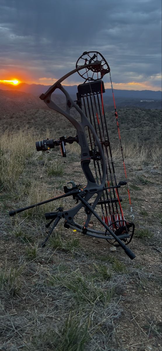Hoyt Rx8