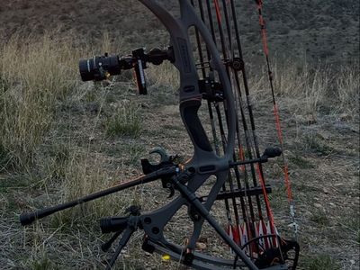 Hoyt Rx8