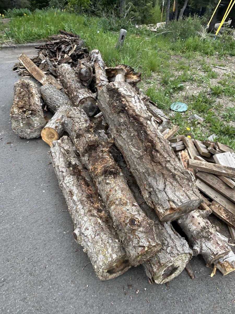 Free firewood