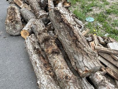 Free firewood