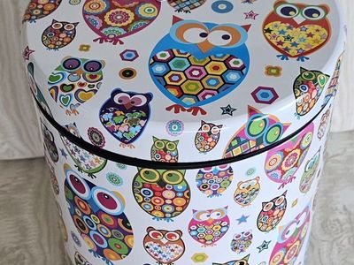 Dust Bin Colorful Owl Pattwern