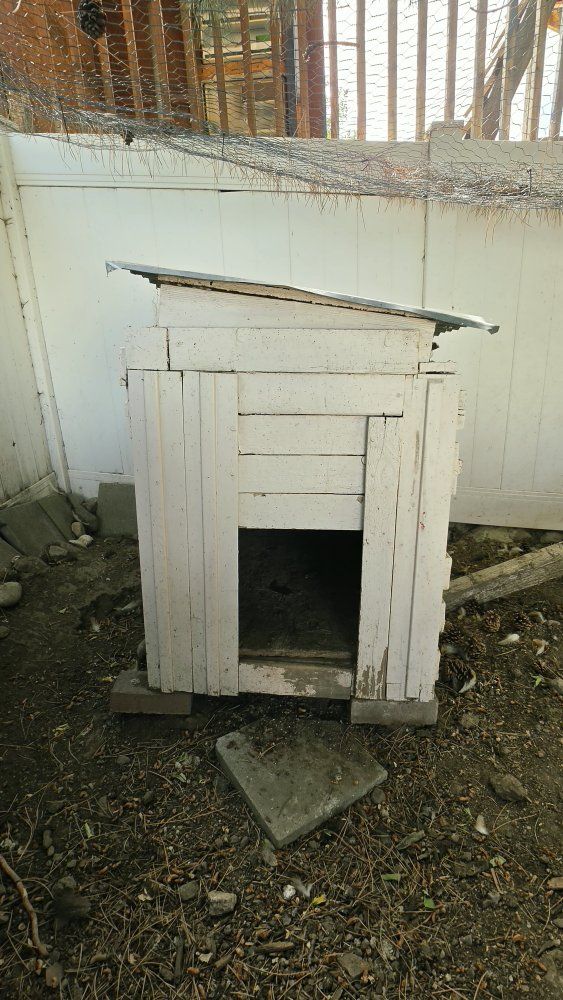 Main image 4