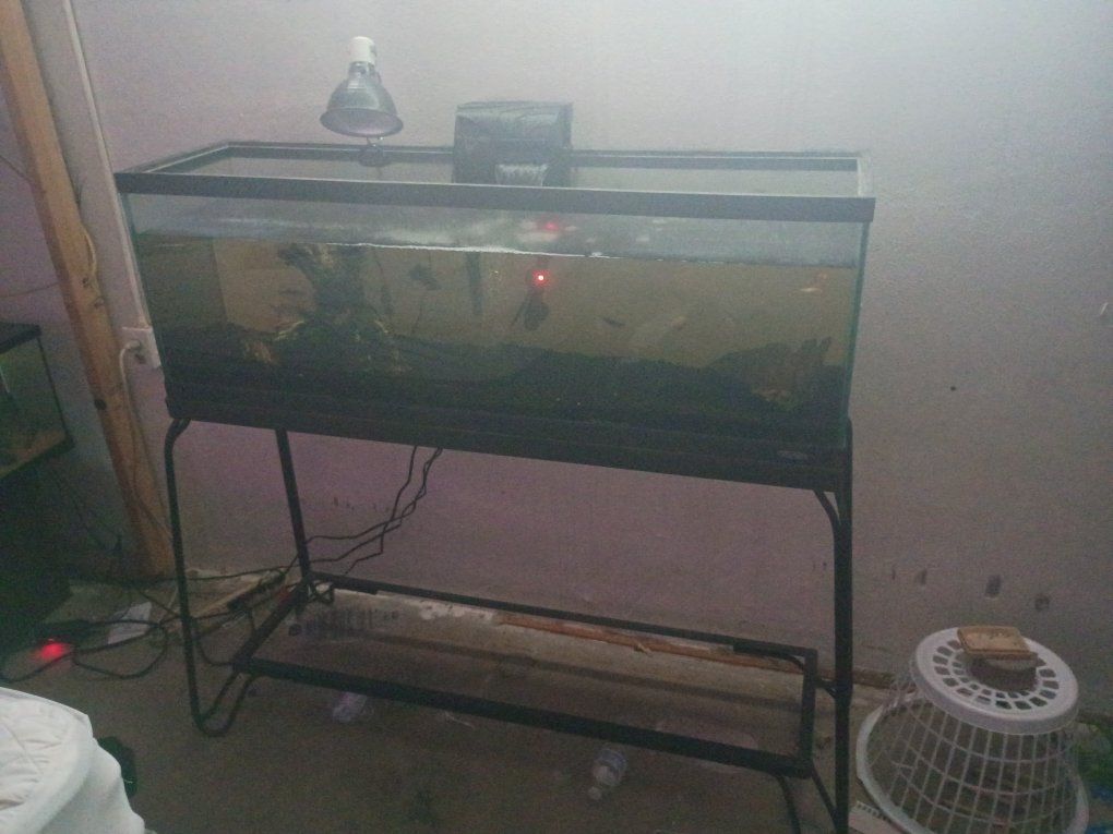 55 gallon long tank with stand