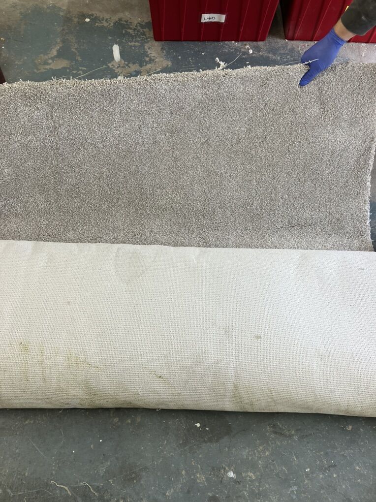Brand New Roll Of Carpet 13' x 8'