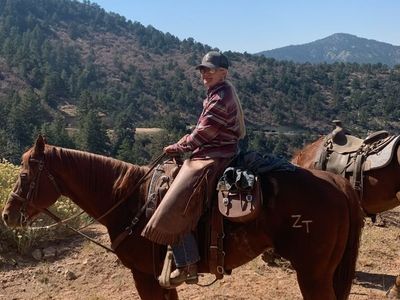 15 Year Registerd Paint Gelding 15.3 Hands