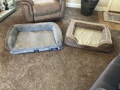 Dog pet porter
