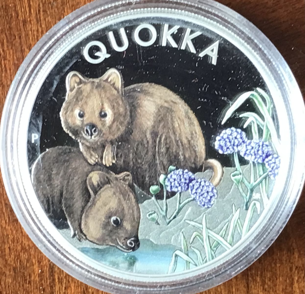2023 Australian Quokka Colorized Proof Silver Coin 1oz