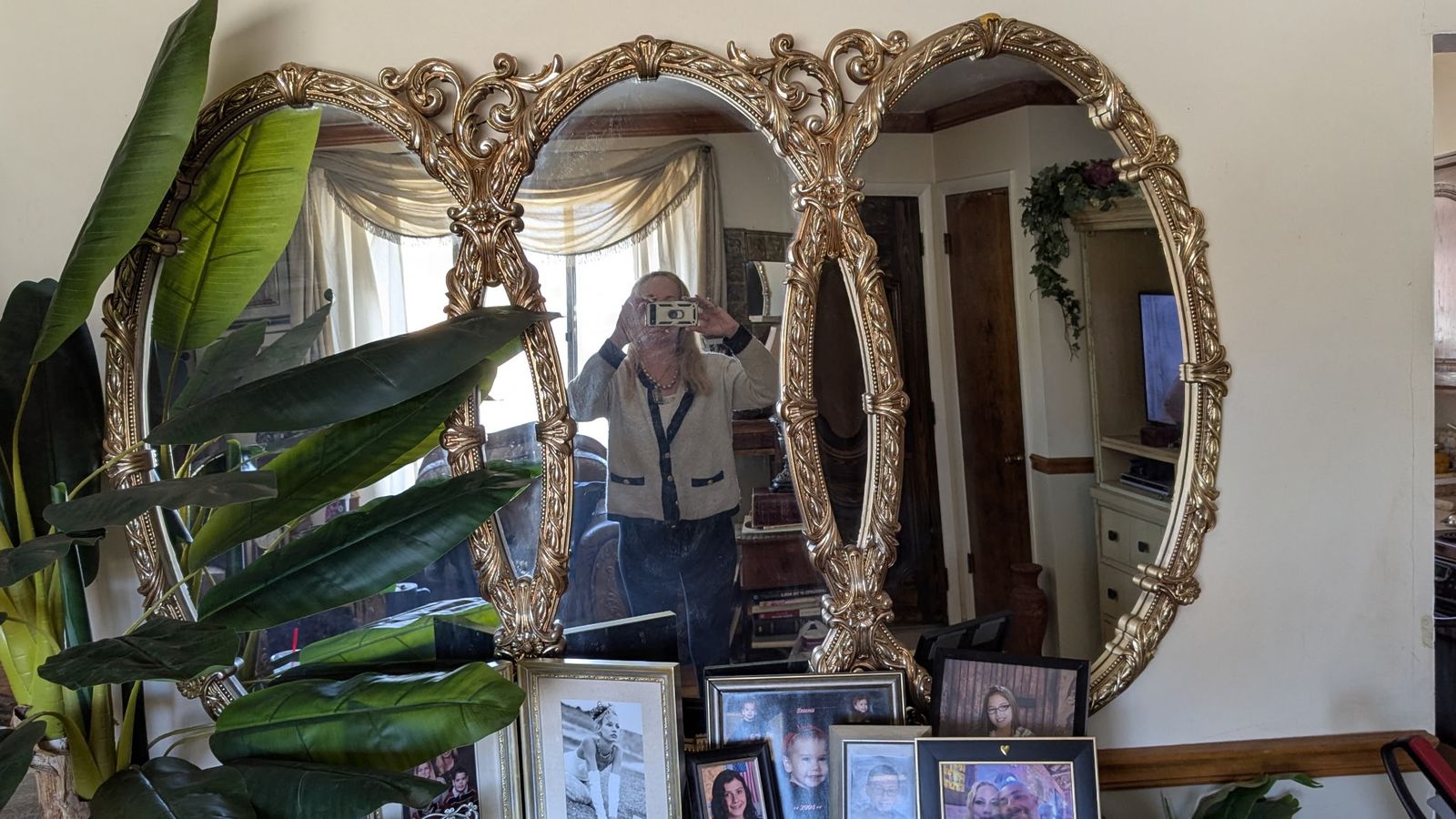 5' x 3' exquisite antique triple mirror