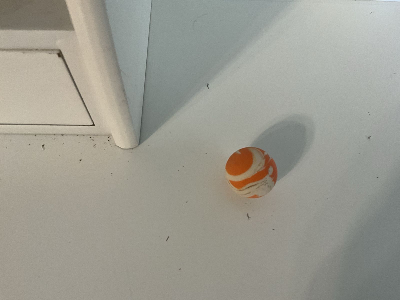 Orange ball inside an egg