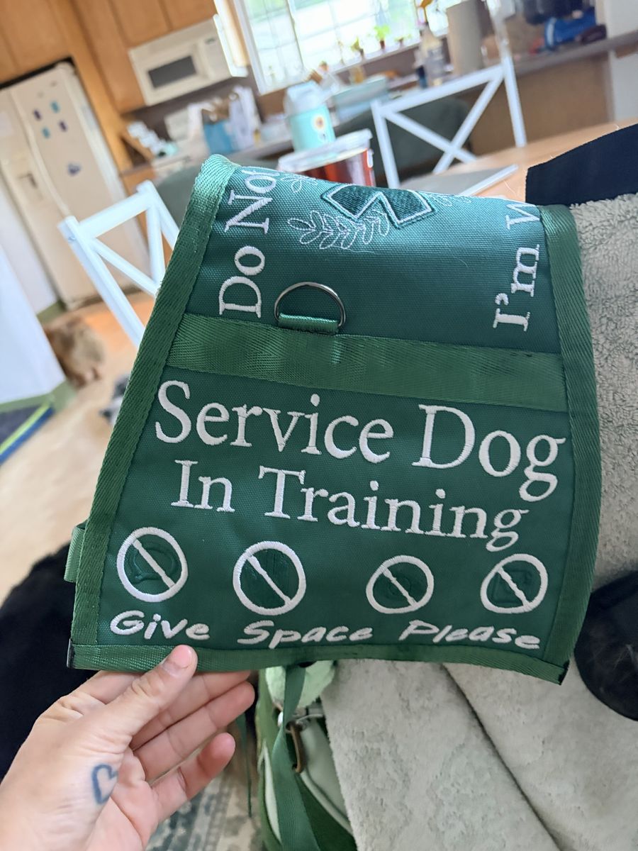 Service dog gear