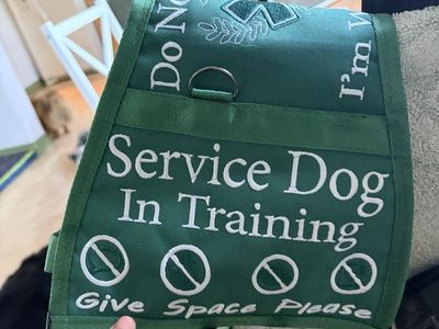 Service dog gear