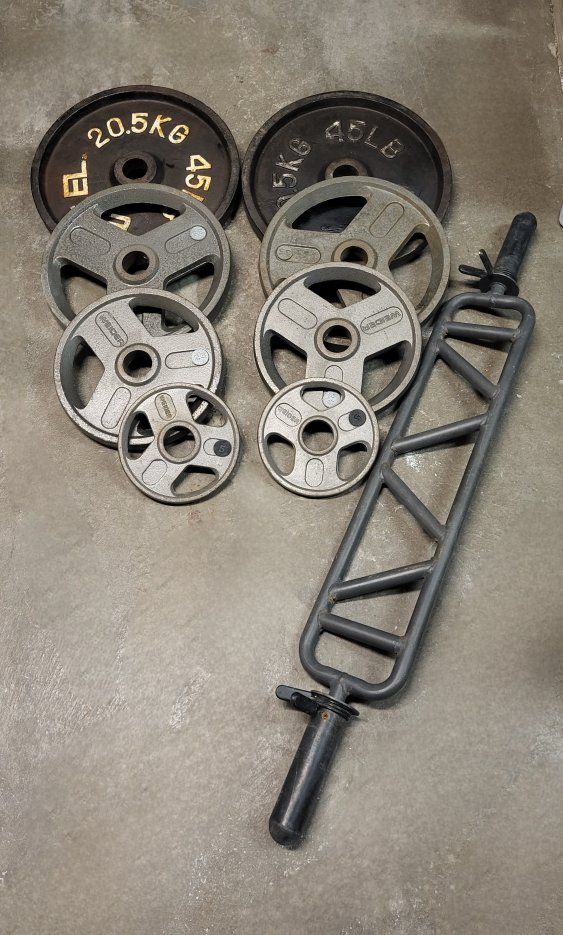 220 pounds of Olympic weights