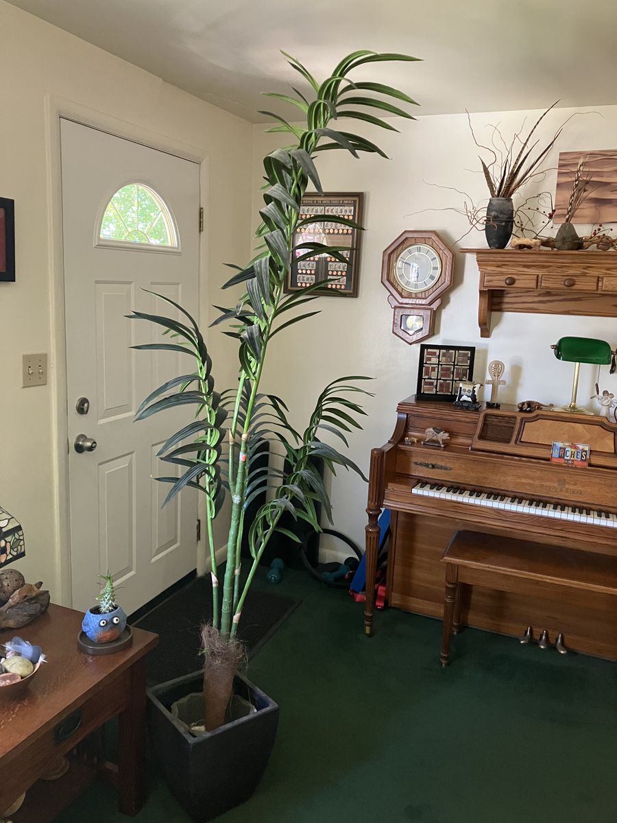 Artificial Tropical Palm