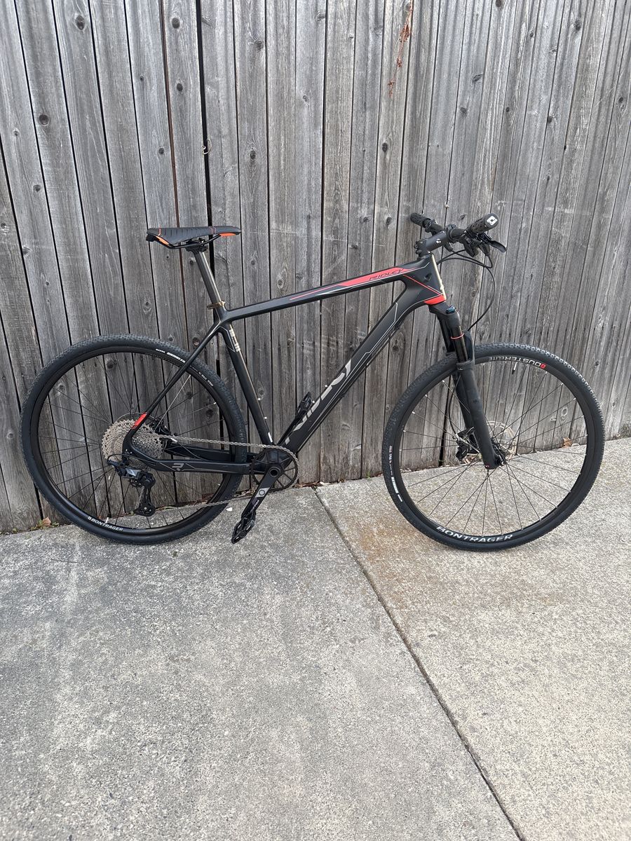 Carbon Monster Gravel