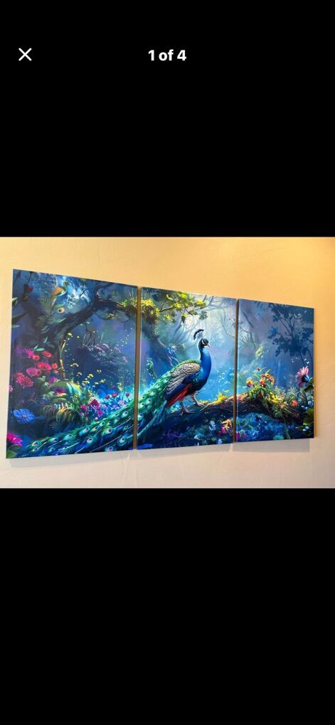 Peacock Canvas 3 Panel Art