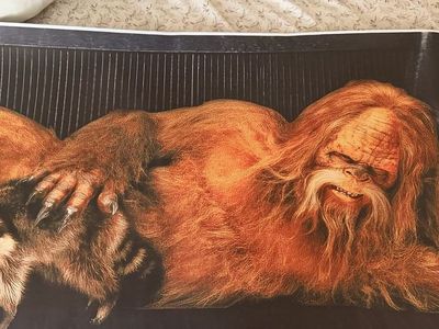 New 20x60 Funny Sasquatch Bigfoot Burt Reynolds Parody Canvas Poster Art with Raccoon