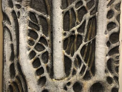 Exo Terra Foam Background