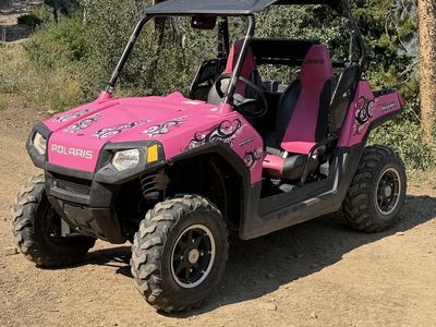 2009 Polaris RZR 800 4x4 EFI LOW MILES