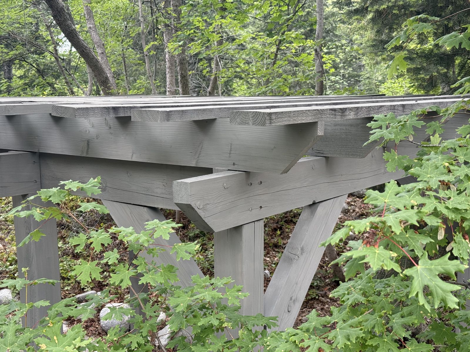 Main image 9