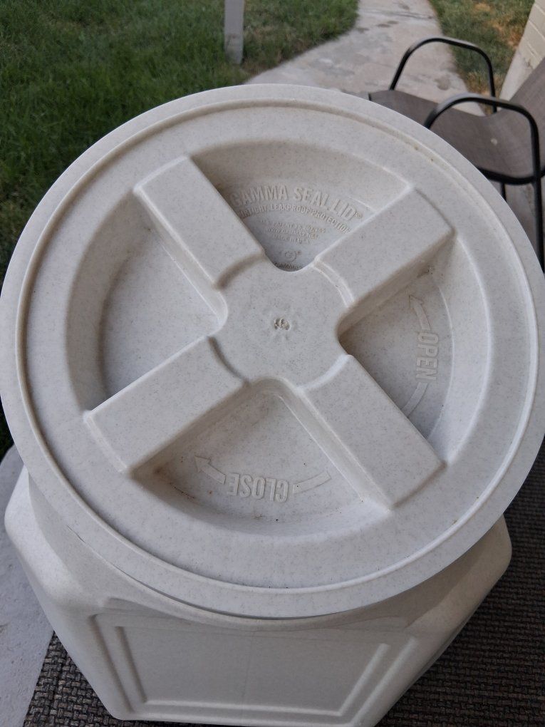 Main image 2
