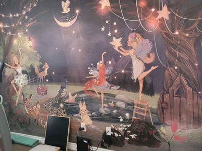 Free Girls Room Wallpaper 12ft Long x 8ft Tall