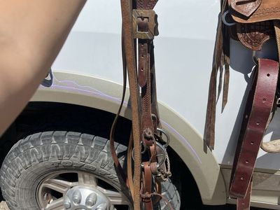 Western Bridles