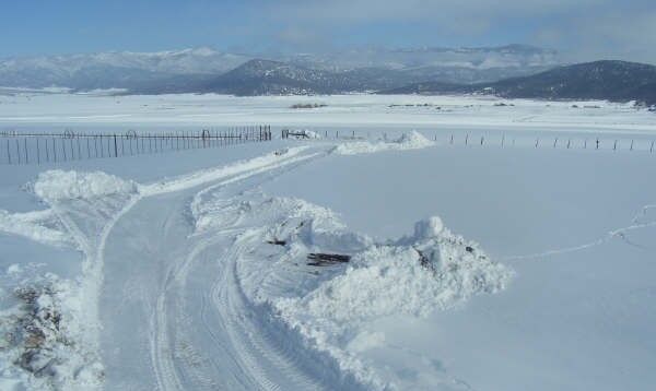 Agricultural/REC Mini Parcel