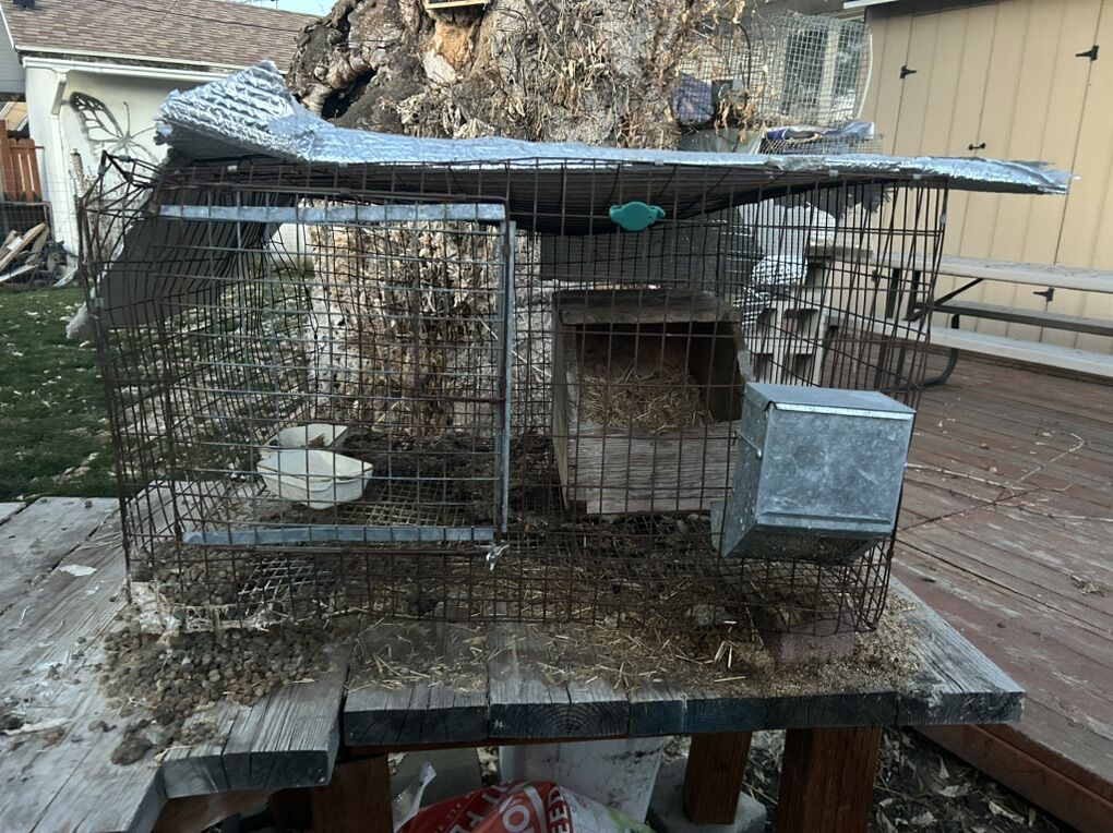 Rabbit Hutches And Supplies