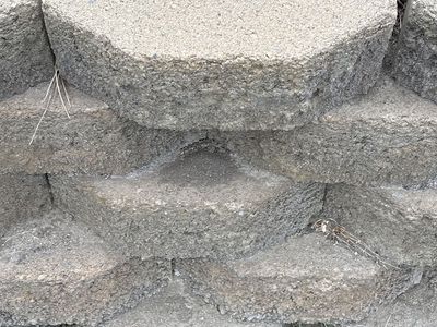 Beige tan concrete retaining wall block paver