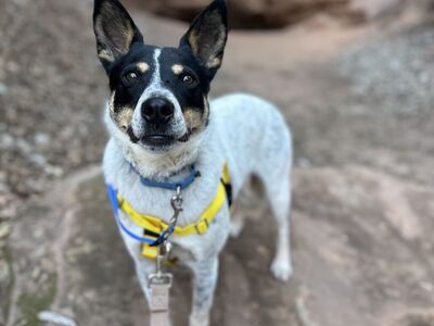 Hello my name is Doug