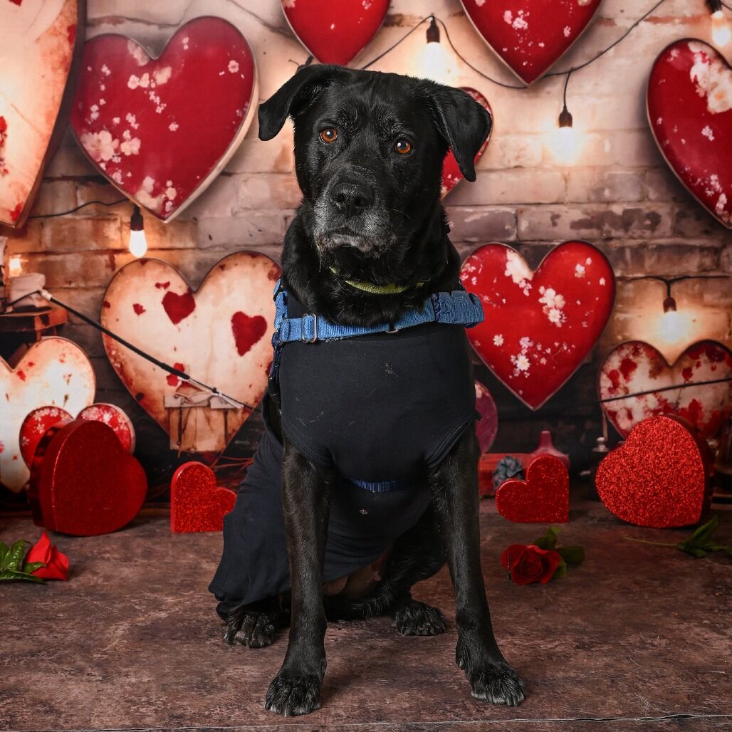 Hello my name is Lucy