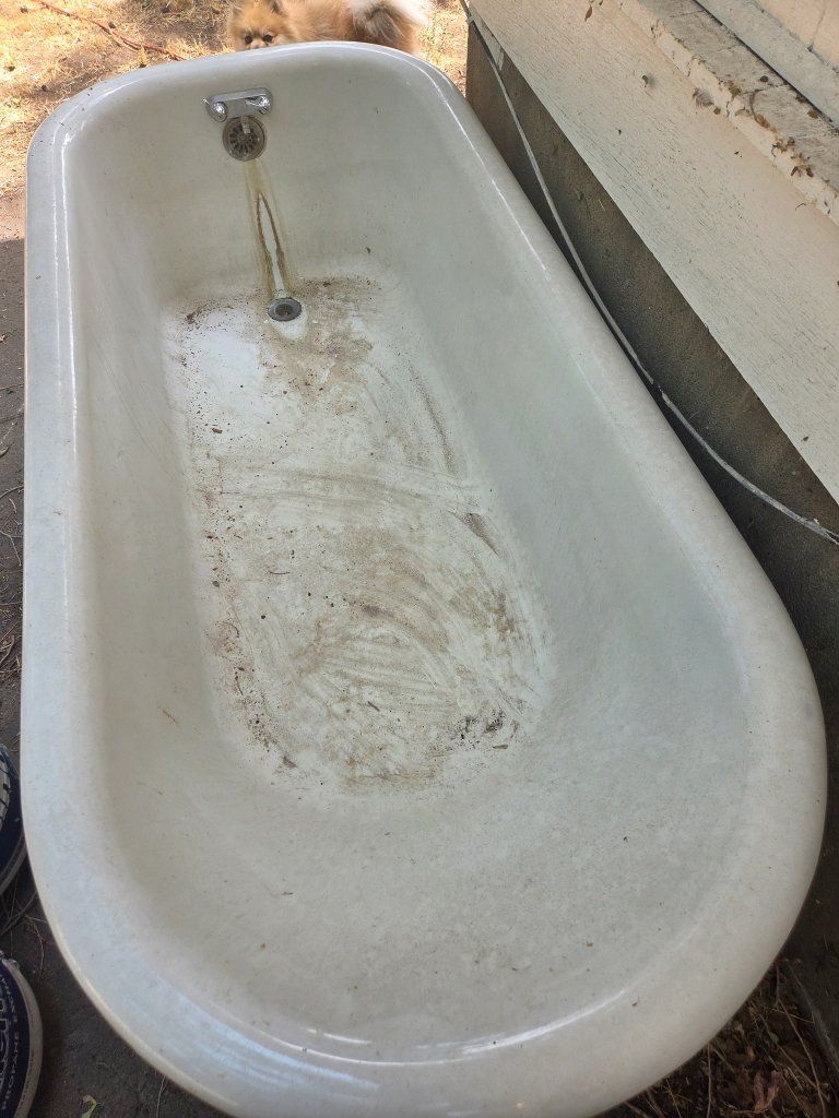 Main image 6