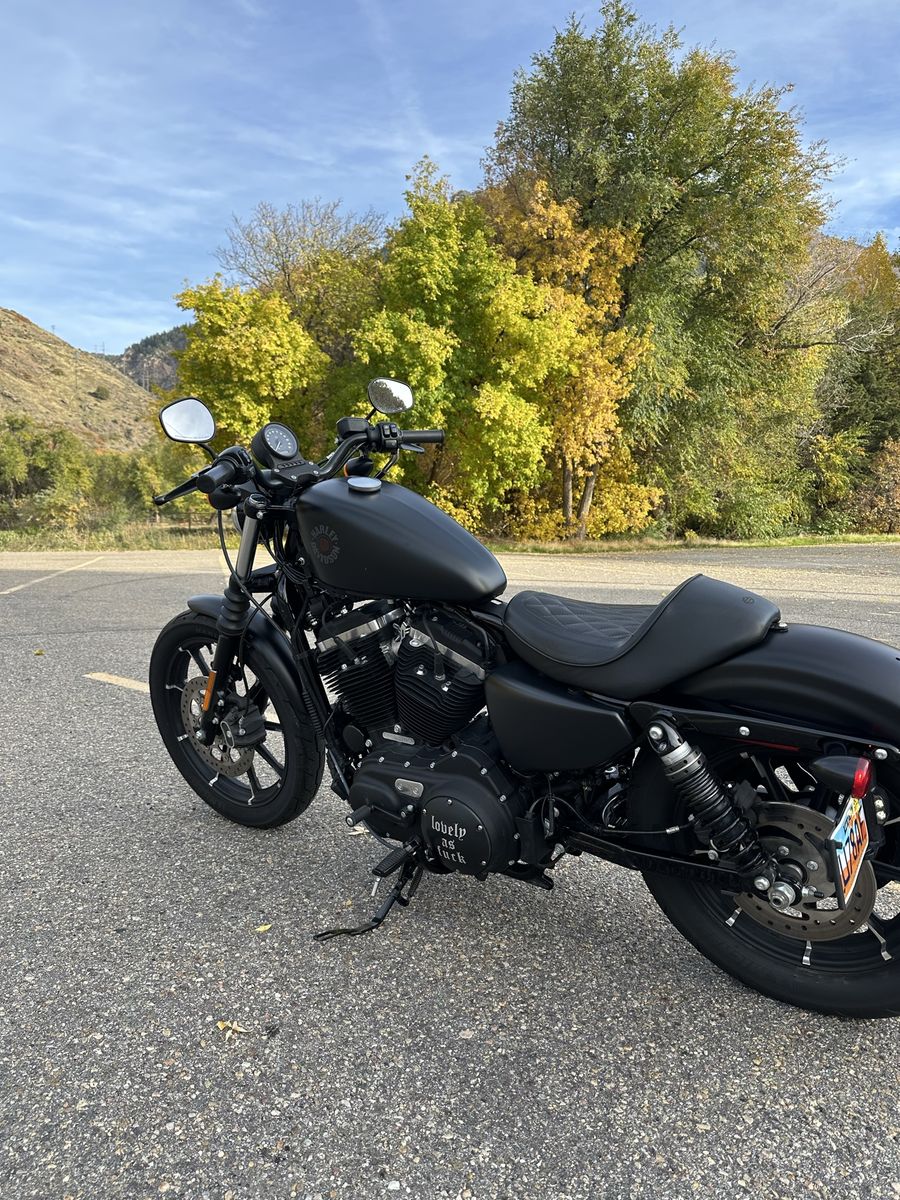 2021 Harley Davison Iron 883 Sportster