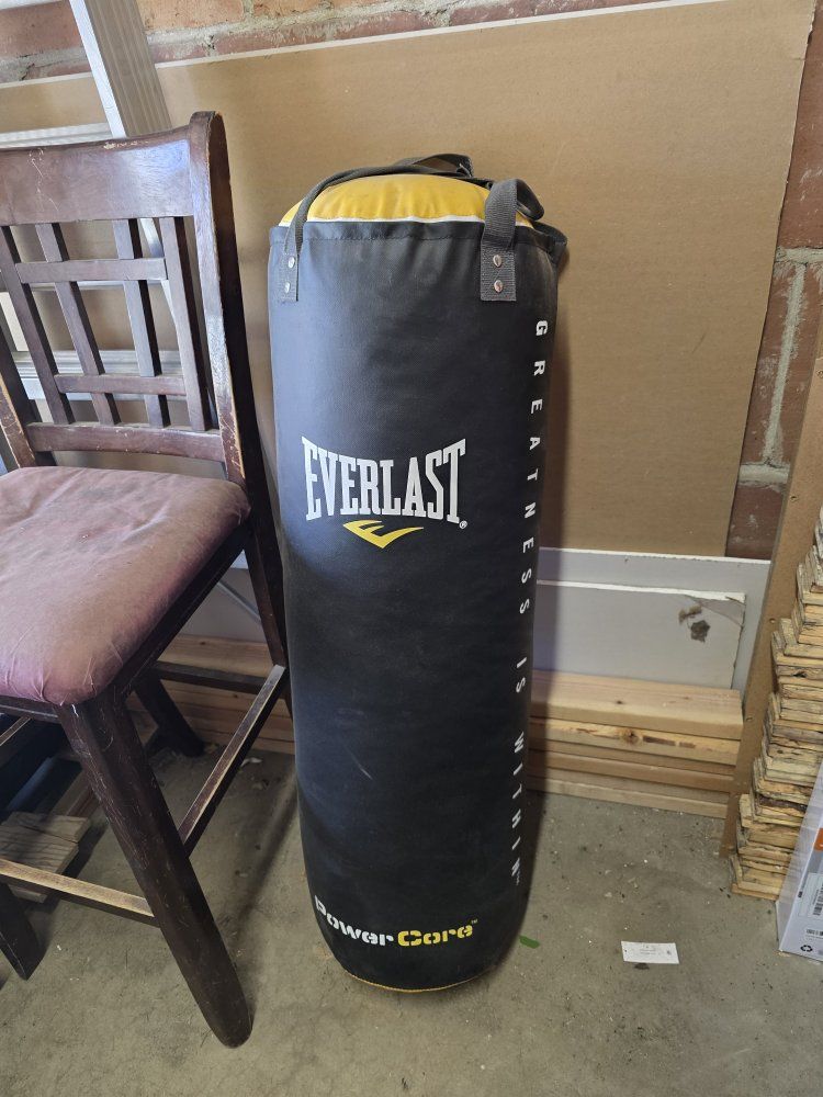 Everlast PowerCore 70lb Heavy Punching Bag with ProForce Boxing & MMA Gloves