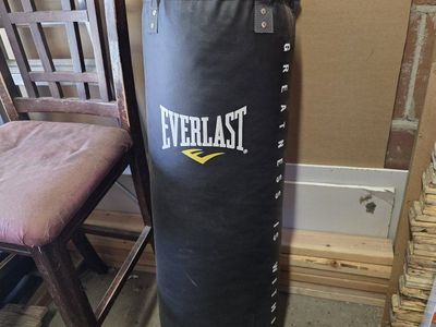 Everlast PowerCore 70lb Heavy Punching Bag with ProForce Boxing & MMA Gloves
