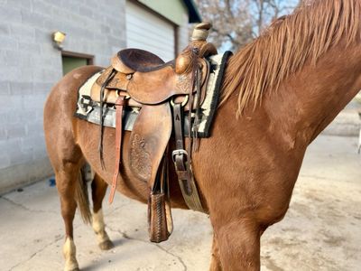 Ranch/Roper/Trail Saddle for Sale