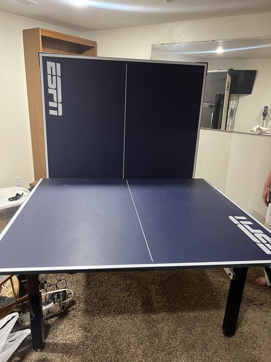 Ping Pong Table