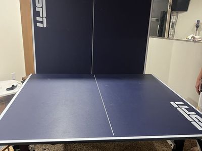 Ping Pong Table