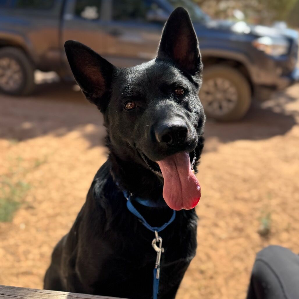 Hello my name is Zenith