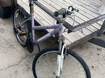 Roadmaster Mountain Bike