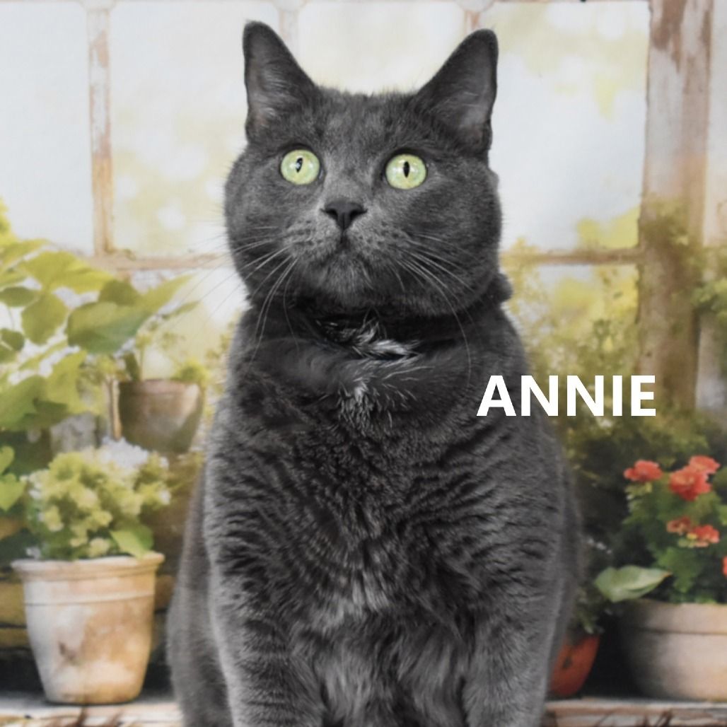 Hello my name is Annie