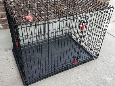 Kong 42-Inch Dog Crate for a Large Dog