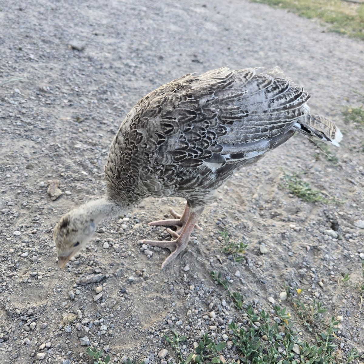 Main image 3