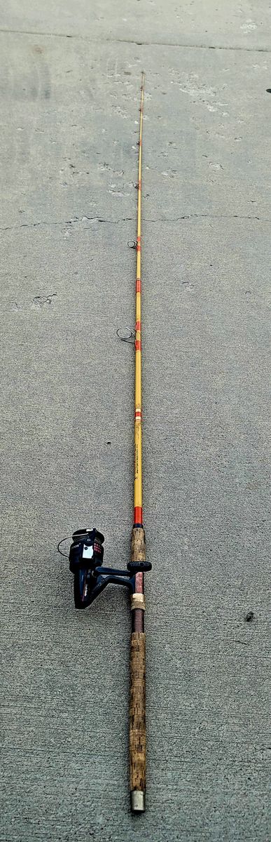 Big Cat Fish Rod And Reel Combo