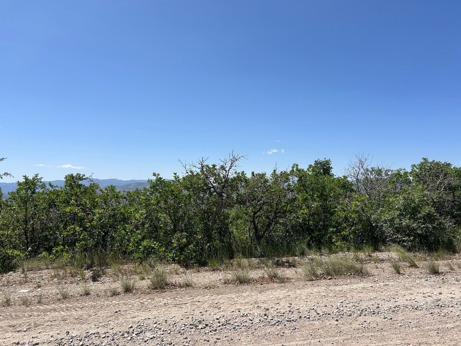 Main image 6