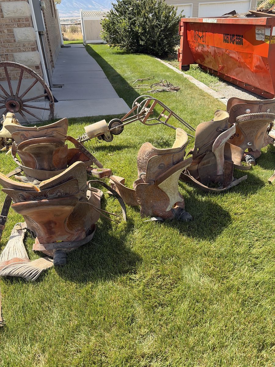Saddles