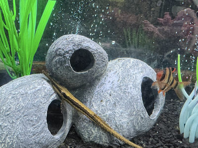 Topfin 10 gallon tank Aquarium with 4 fish