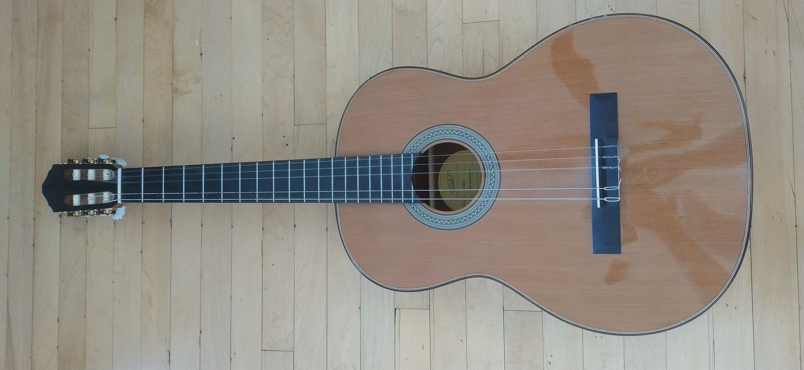Lucero LC230S plus guitar stand