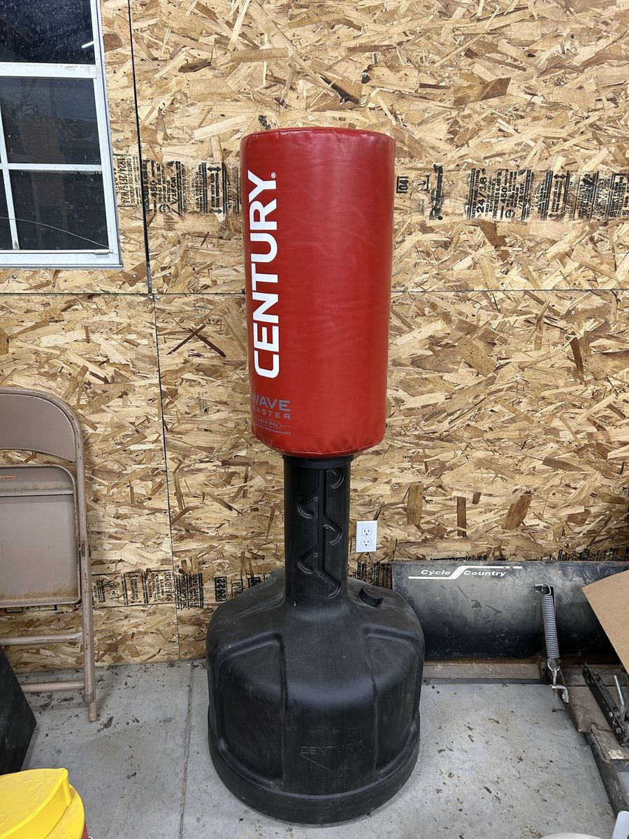 Standing punching bag